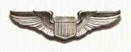 Flight wings in sterling silver