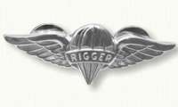 Rigger Air Wings Pin